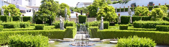 Banner imagenJardim do Paço - Foto 1